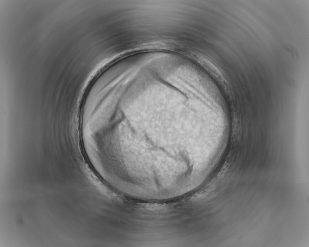 X0000111360800200908071152