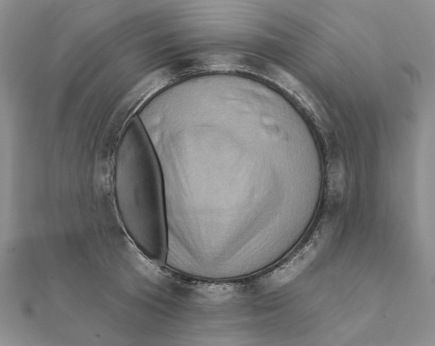 X0000111360801200908071152