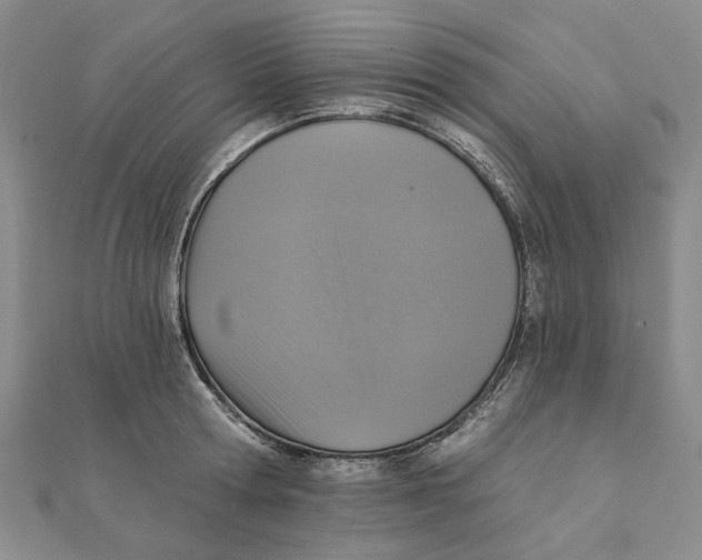 X0000111360802200908071152