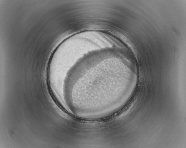 X0000111360803200908071152