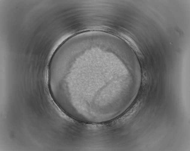 X0000111360804200908071152