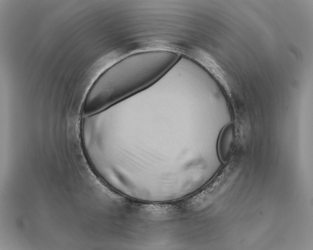 X0000111360805200908071152