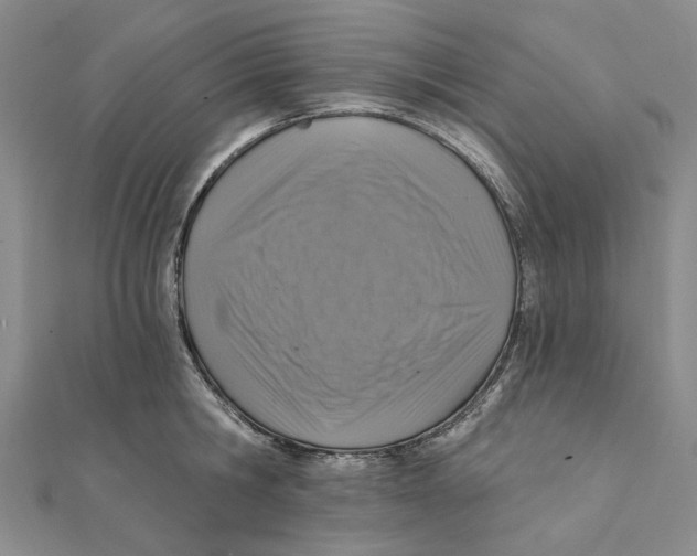 X0000111360806200908071152