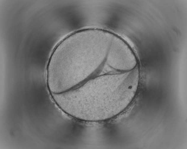 X0000111360807200908071152