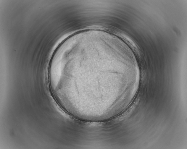 X0000111360808200908071152