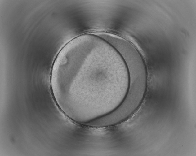 X0000111360810200908071152