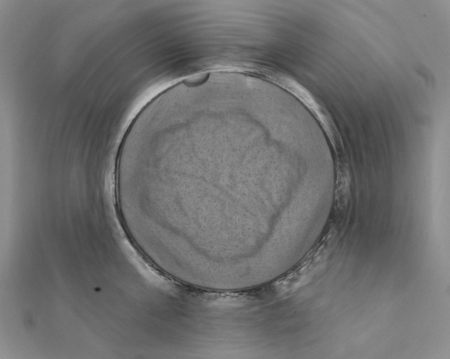 X0000111360811200908071152