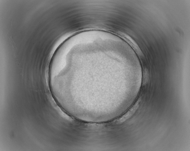 X0000111360812200908071152