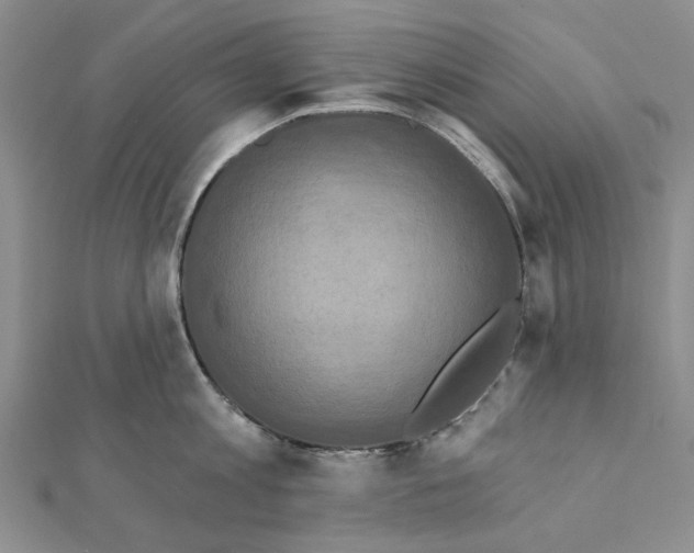 X0000111360813200908071152