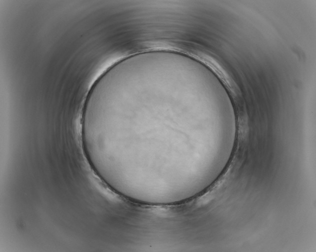 X0000111360814200908071152