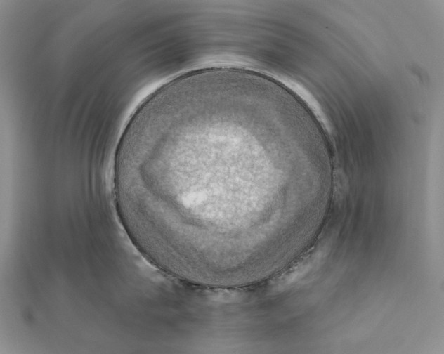 X0000111360815200908071152