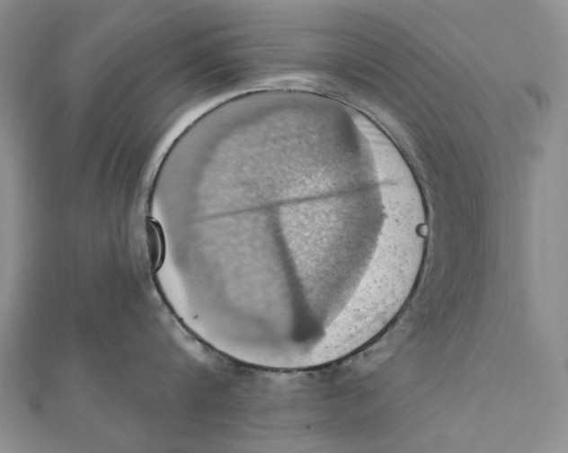 X0000111360816200908071152