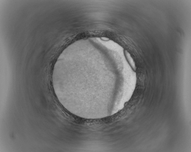 X0000111360817200908071151