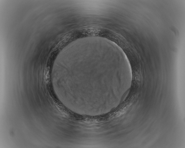 X0000111360818200908071151