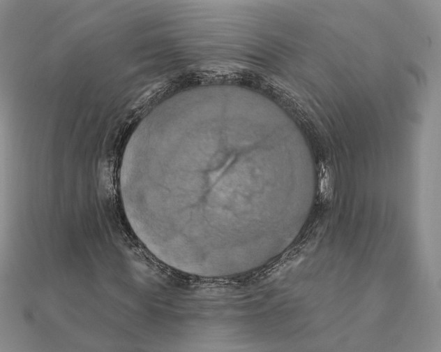 X0000111360819200908071151