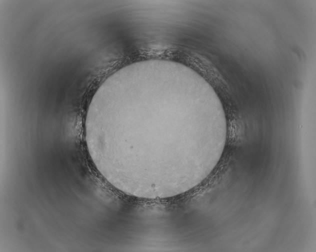 X0000111360820200908071151