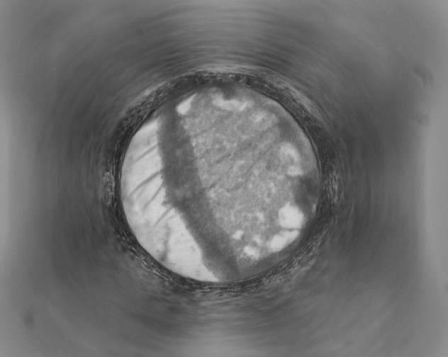 X0000111360821200908071151