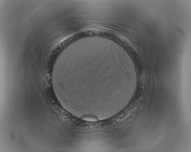 X0000111360822200908071151