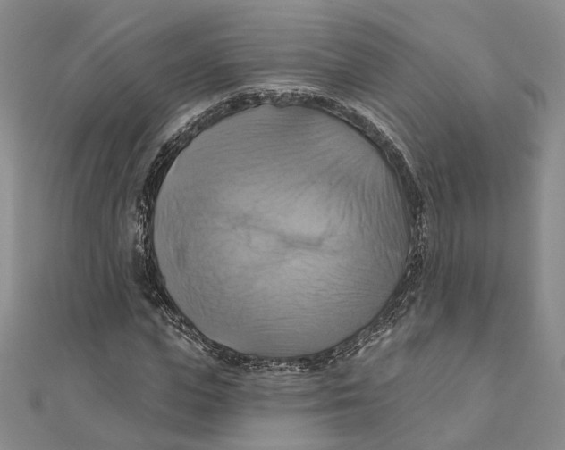 X0000111360823200908071151