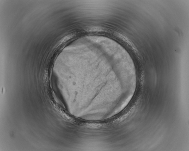 X0000111360825200908071151