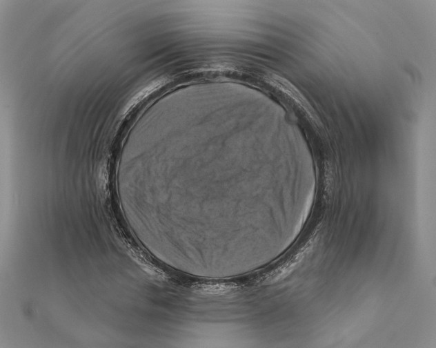 X0000111360826200908071151