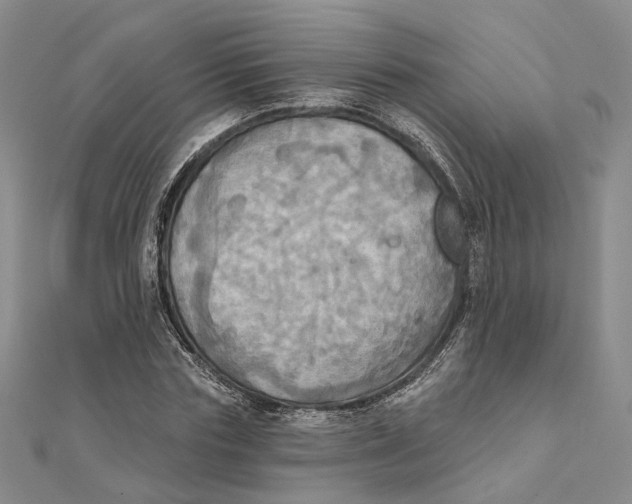 X0000111360827200908071151