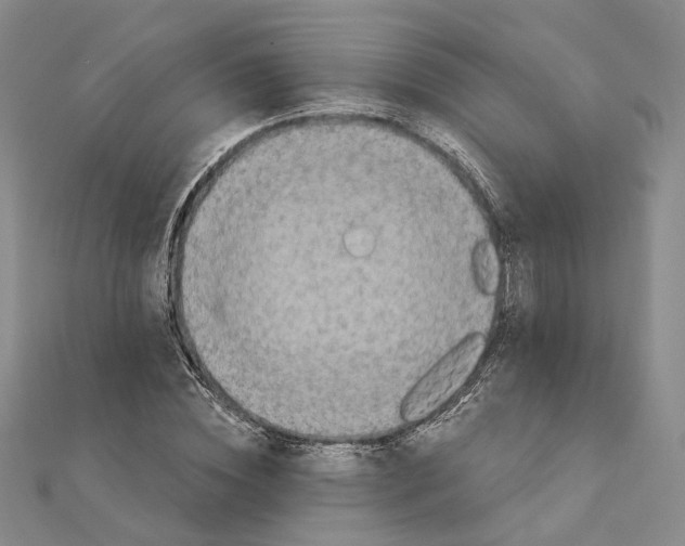 X0000111360828200908071151