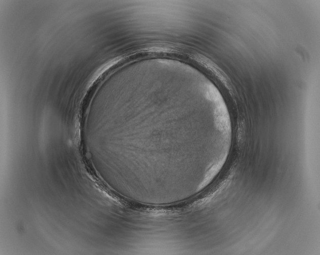 X0000111360829200908071151