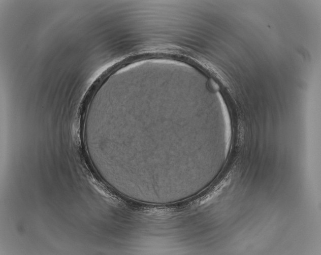 X0000111360830200908071151