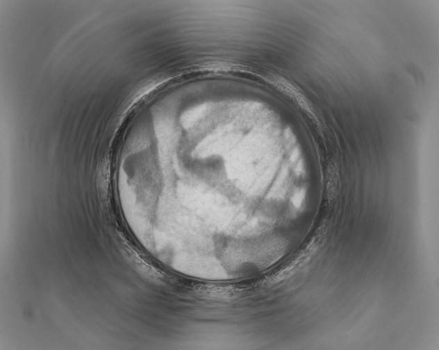 X0000111360831200908071151