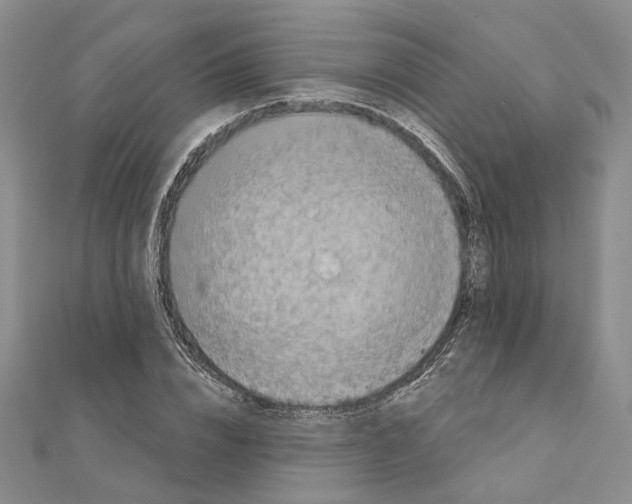 X0000111360832200908071151