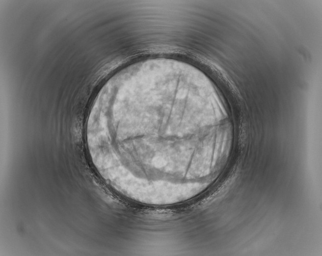 X0000111360833200908071151