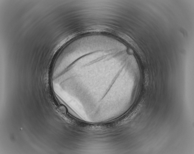 X0000111360834200908071151