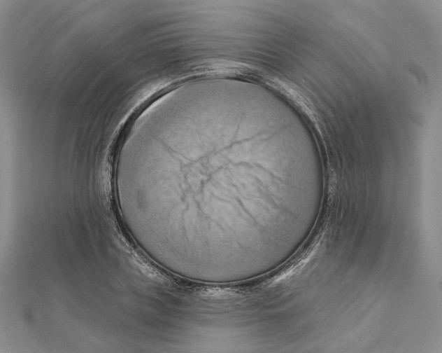 X0000111360835200908071151