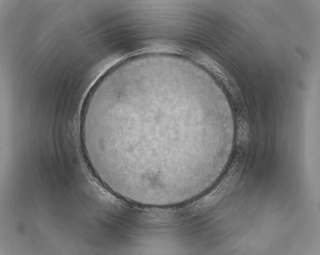 X0000111360836200908071151