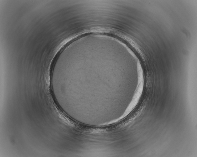 X0000111360837200908071151