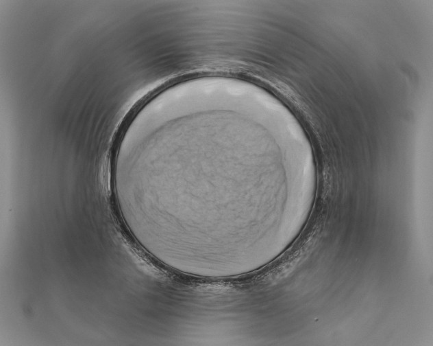 X0000111360838200908071151