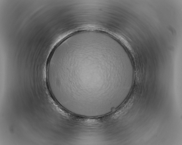 X0000111360839200908071151