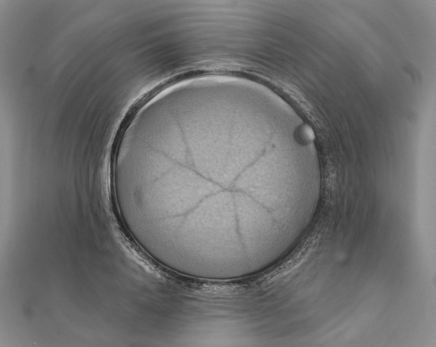 X0000111360840200908071151