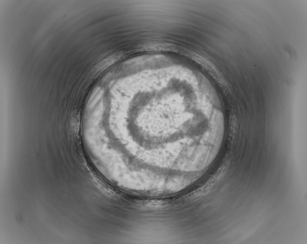 X0000111360841200908071151