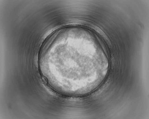 X0000111360842200908071152