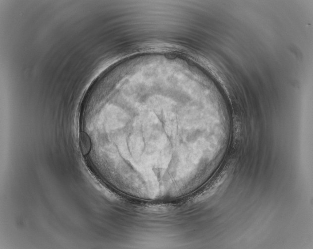 X0000111360843200908071152