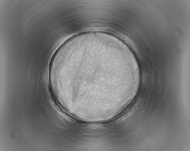 X0000111360844200908071152