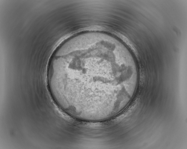 X0000111360845200908071152