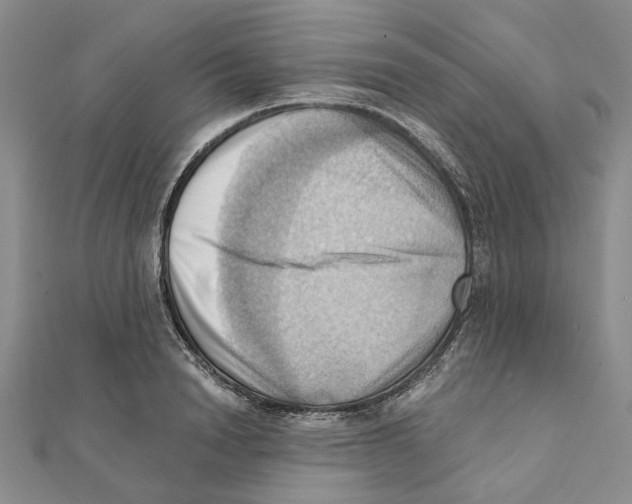 X0000111360846200908071152