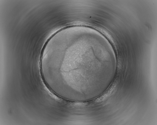 X0000111360847200908071152