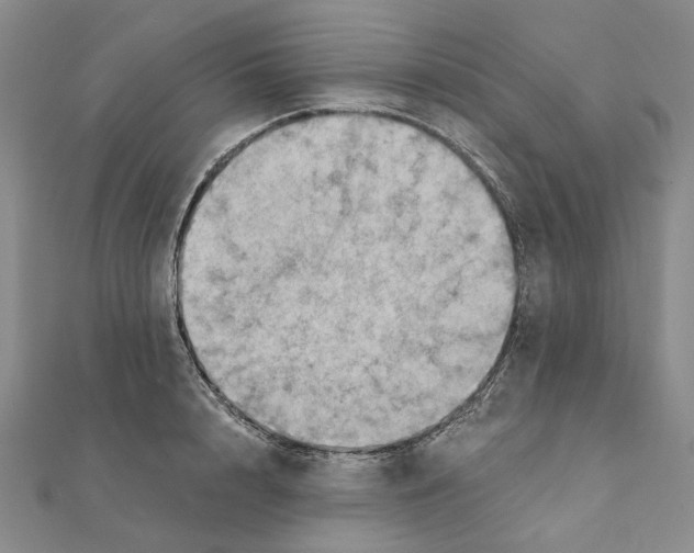 X0000111360848200908071152