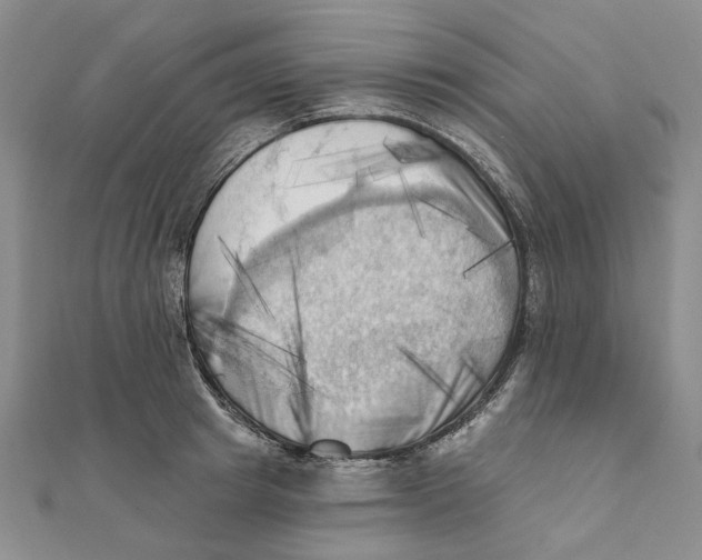 X0000111360849200908071152