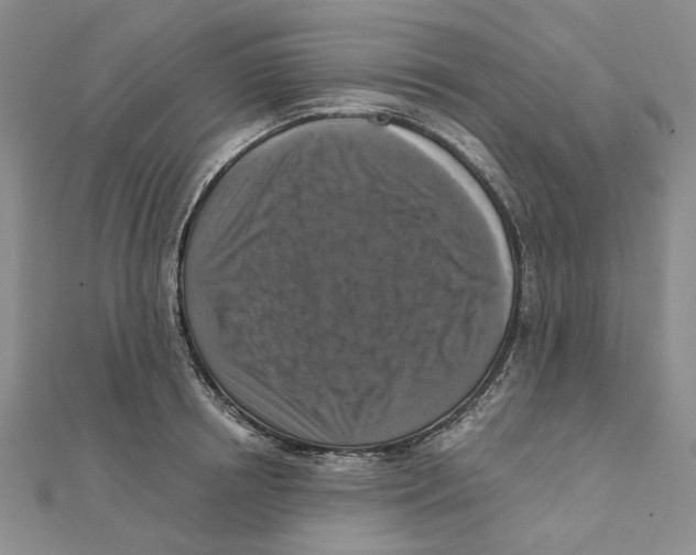 X0000111360850200908071152