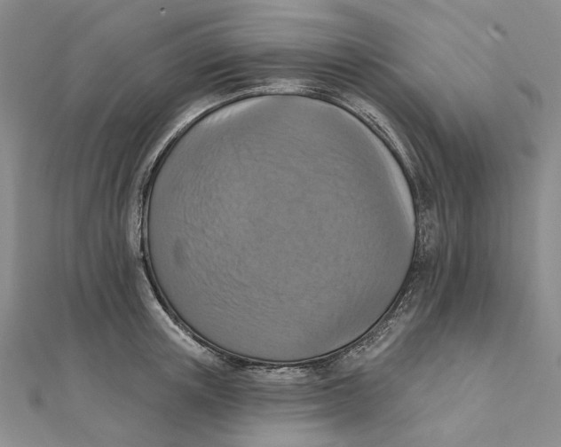 X0000111360851200908071152